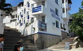 Mayflower Hotel & Hostal